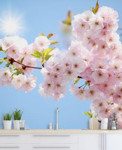 lyserød og blå blomst tapet vægmaleri kaldet Blossom imod en blå himmel til soveværelser, badeværelser og køkkener lyserød og blå blomst tapet vægmaleri kaldet Blossom imod en blå himmel til soveværelser, badeværelser og køkkener