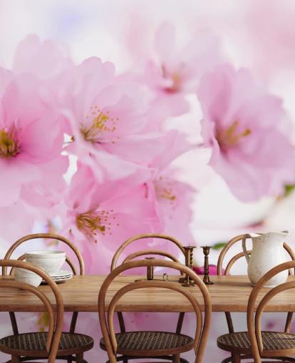 carta da parati murale floreale rosa e bianca chiamata Japanese Cherry Tree in Blossom per camere da letto carta da parati murale floreale rosa e bianca chiamata Japanese Cherry Tree in Blossom per camere da letto