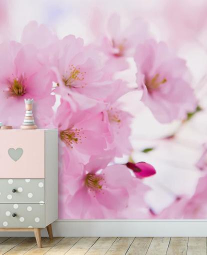 rosa-weiße Blumentapete mit dem Titel Japanischer Kirschbaum in Blüte für Schlafzimmer rosa-weiße Blumentapete mit dem Titel Japanischer Kirschbaum in Blüte für Schlafzimmer