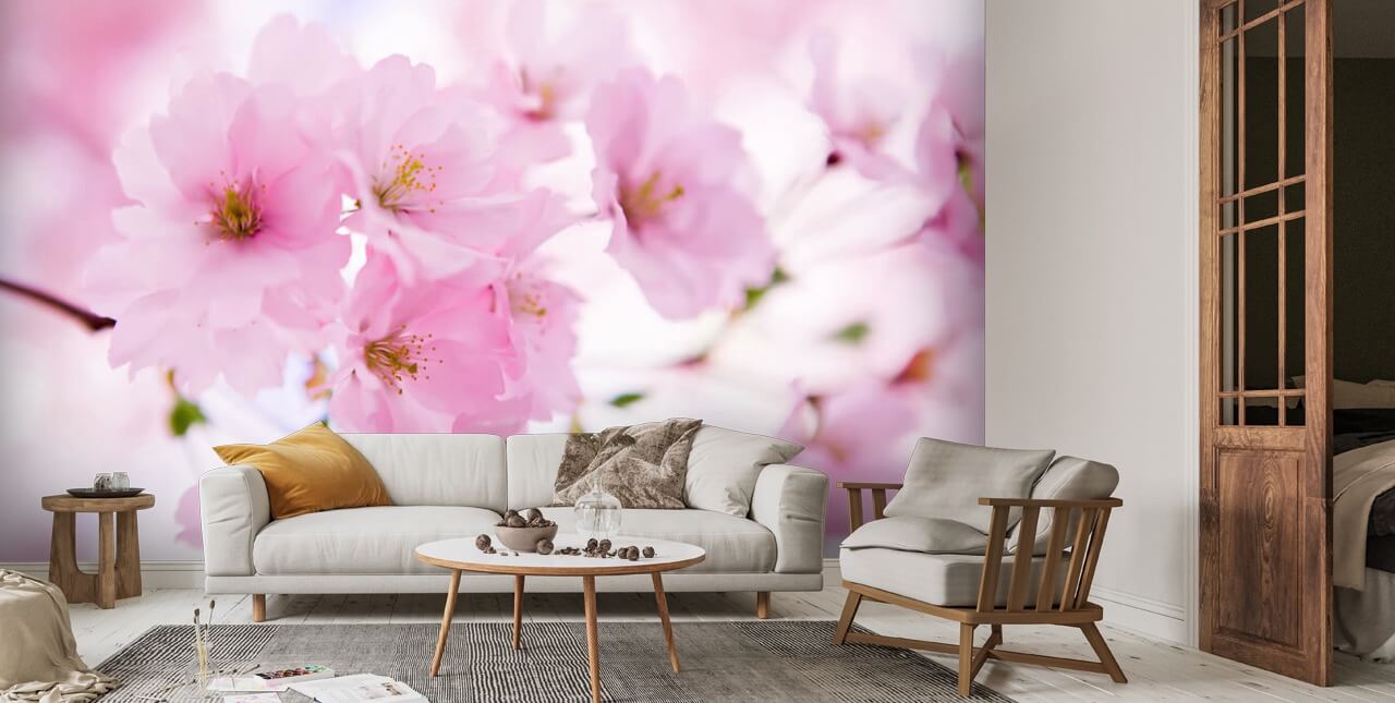 Japanese Cherry Tree in Blossom Wallpaper Mural | Wallsauce UK