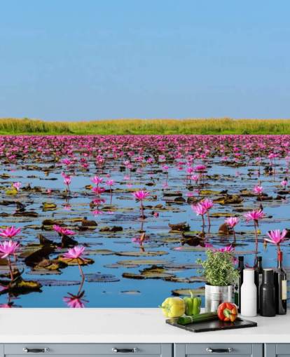 Lake Full of Pink Lotus Wall Mural Lake Full of Pink Lotus Wall Mural