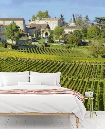 Decorazione murale con vigna francese Decorazione murale con vigna francese