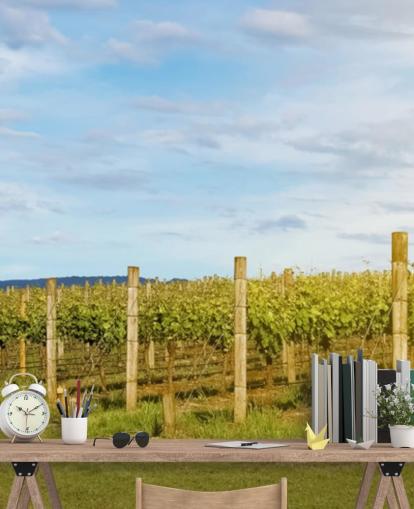 Australia Yarra Vineyard Wall Mural Australia Yarra Vineyard Wall Mural