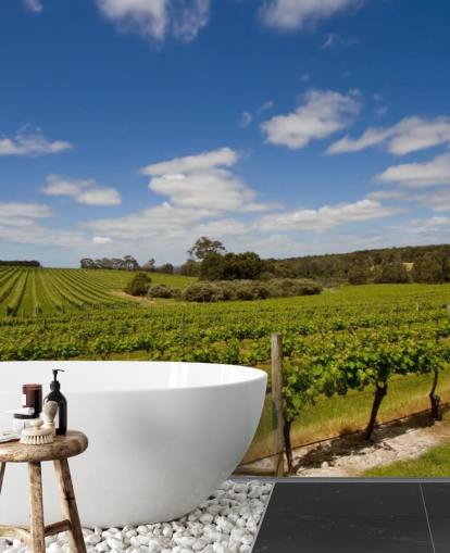 Papel pintado Viñedo Filas de uvas Papel pintado Viñedo Filas de uvas