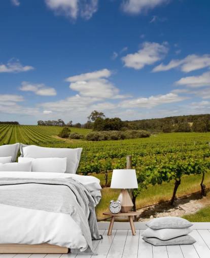 Rows of Grapes Vineyard Wallpaper Rows of Grapes Vineyard Wallpaper