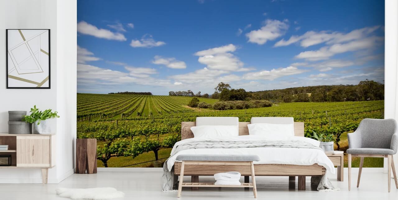 Rækker af druer Vineyard Baggrund