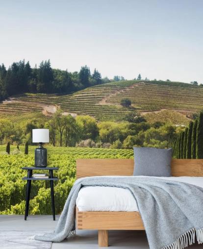 California Vineyards Wallpaper California Vineyards Wallpaper