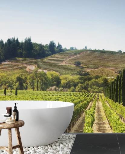 Kalifornien Weinberge Tapete Kalifornien Weinberge Tapete