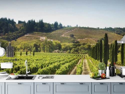 California Vineyards Vineyard Wallpaper