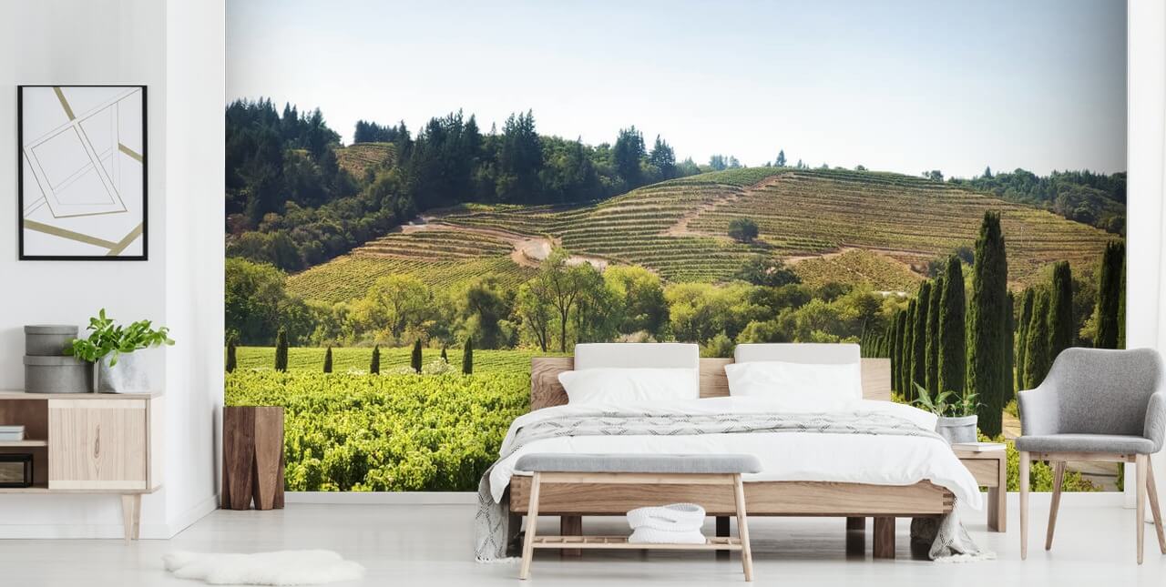 California Vineyards Wallpaper