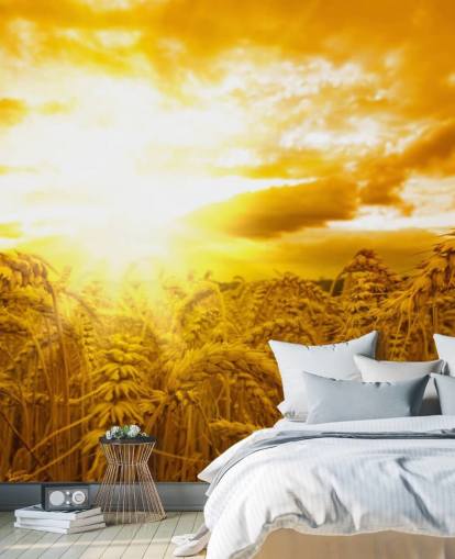 Golden Sunset in Wheat Field Wall Mural Golden Sunset in Wheat Field Wall Mural