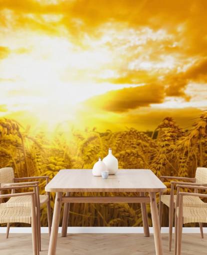 Mural de pared Atardecer dorado en un campo Mural de pared Atardecer dorado en un campo