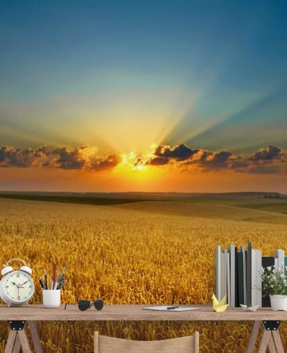Golden Wheat Field at Sunset Wall Mural Golden Wheat Field at Sunset Wall Mural