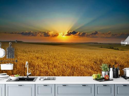 Goldenes Weizenfeld bei Sonnenuntergang Fototapete