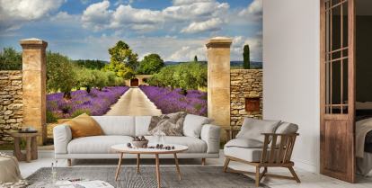 DE Lavendel Provence Pathway | - Wallsauce Fototapete