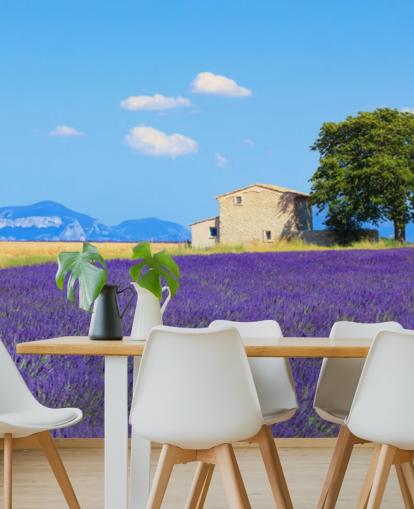 Lavendel Fields Baggrund Lavendel Fields Baggrund