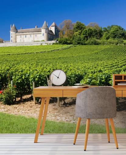 Fransk Chateau og Vineyard Baggrund Fransk Chateau og Vineyard Baggrund