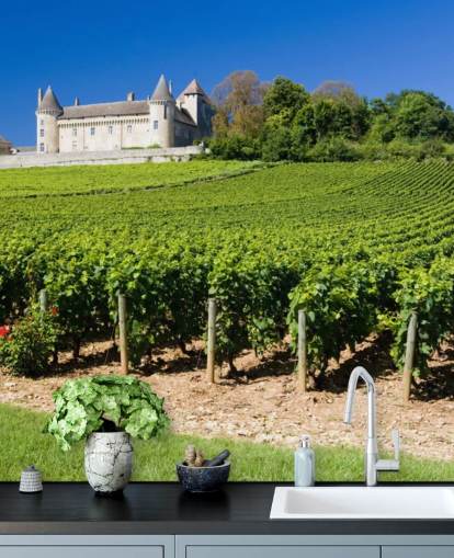 French Chateau and Vineyard Wallpaper French Chateau and Vineyard Wallpaper