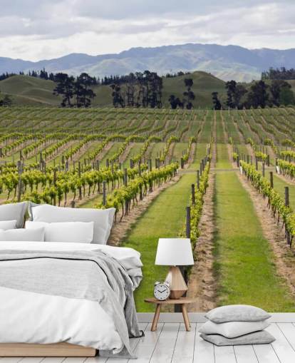 Marlborough Vineyards Marlborough Vineyards Wallpaper Marlborough Vineyards Marlborough Vineyards Wallpaper