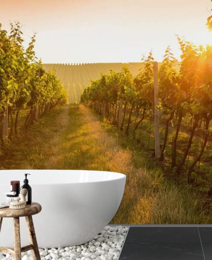 Sunrise over a vineyard mural Sunrise over a vineyard mural