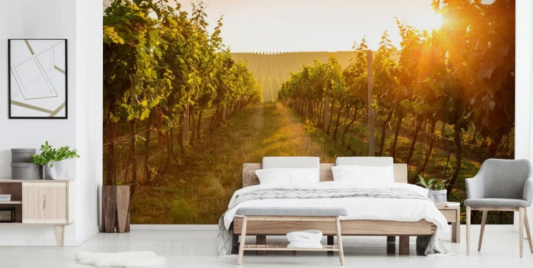 Sunrise over a vineyard mural