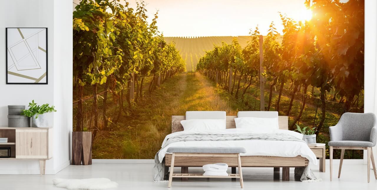 Sunrise over a vineyard mural