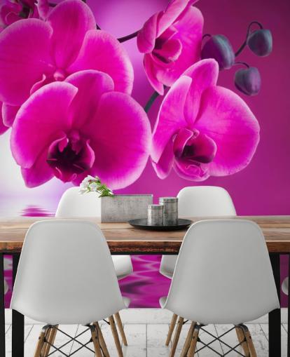pink customisable floral wallpaper mural called Pink Orchids for spas, hotels and bathrooms pink customisable floral wallpaper mural called Pink Orchids for spas, hotels and bathrooms