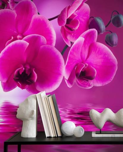 pink customisable floral wallpaper mural called Pink Orchids for spas, hotels and bathrooms pink customisable floral wallpaper mural called Pink Orchids for spas, hotels and bathrooms