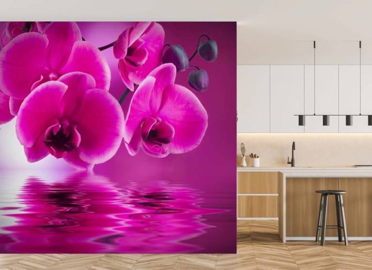 Custom Wallpapers for Office and Shop Wall Branding - Orchid