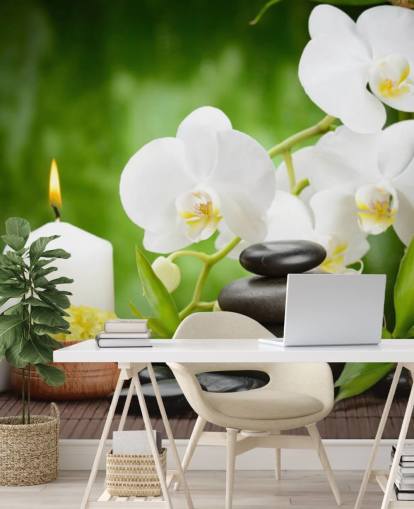 Vita orkidéer med stenar och ljus väggmålning Vita orkidéer med stenar och ljus väggmålning
