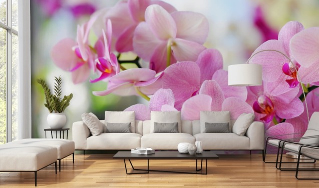 Pink orchid Wall Mural Wallpaper