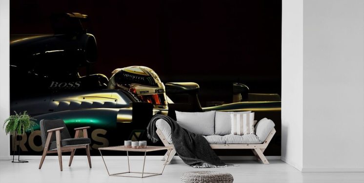 F1 Driver Wallpaper