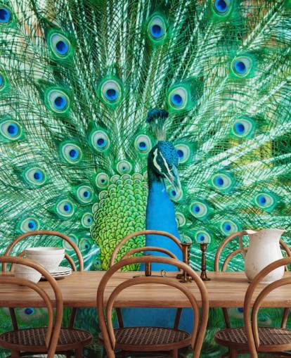 Mural Retrato de pavo real con plumas Mural Retrato de pavo real con plumas