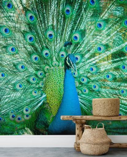 Portrait of Peacock Peacock Wallpaper Portrait of Peacock Peacock Wallpaper