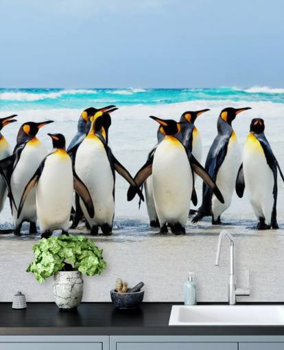 bright customisable penguin wallpaper called Kings of the Beach for children's bedrooms and offices bright customisable penguin wallpaper called Kings of the Beach for children's bedrooms and offices