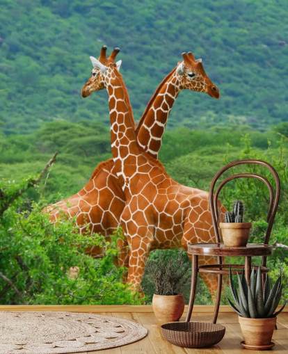 Carta da parati con giraffe Carta da parati con giraffe