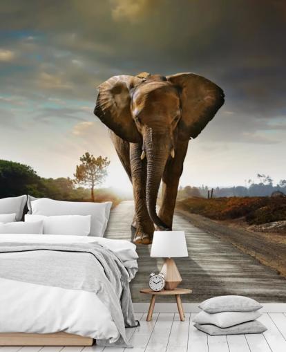 Elephant Walking on Path Wallpaper Elephant Walking on Path Wallpaper