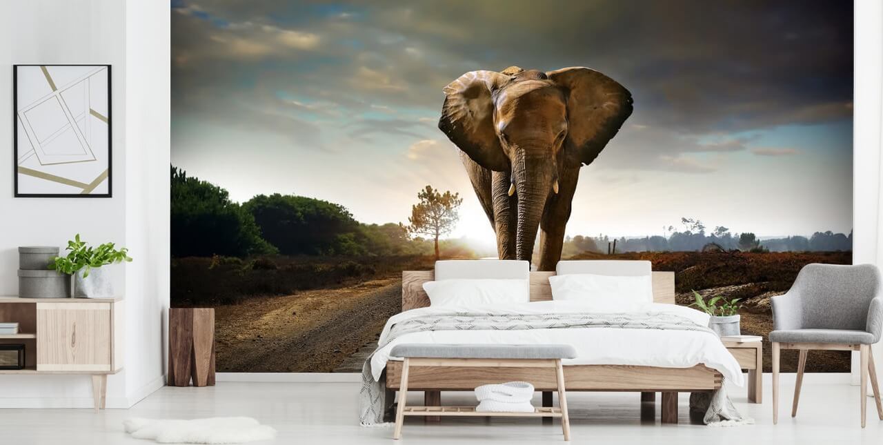 Elephant Walking on Path Wallpaper