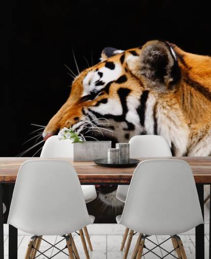 Tiger brølende Baggrund Tiger brølende Baggrund