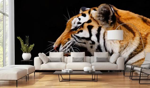 Tiger Roaring Bakgrunn