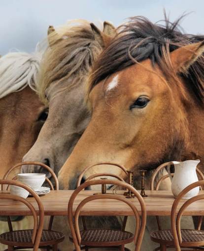 Mural de pared Retratos de caballos Mural de pared Retratos de caballos