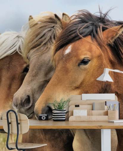 Horses Portraits Muurschildering Horses Portraits Muurschildering