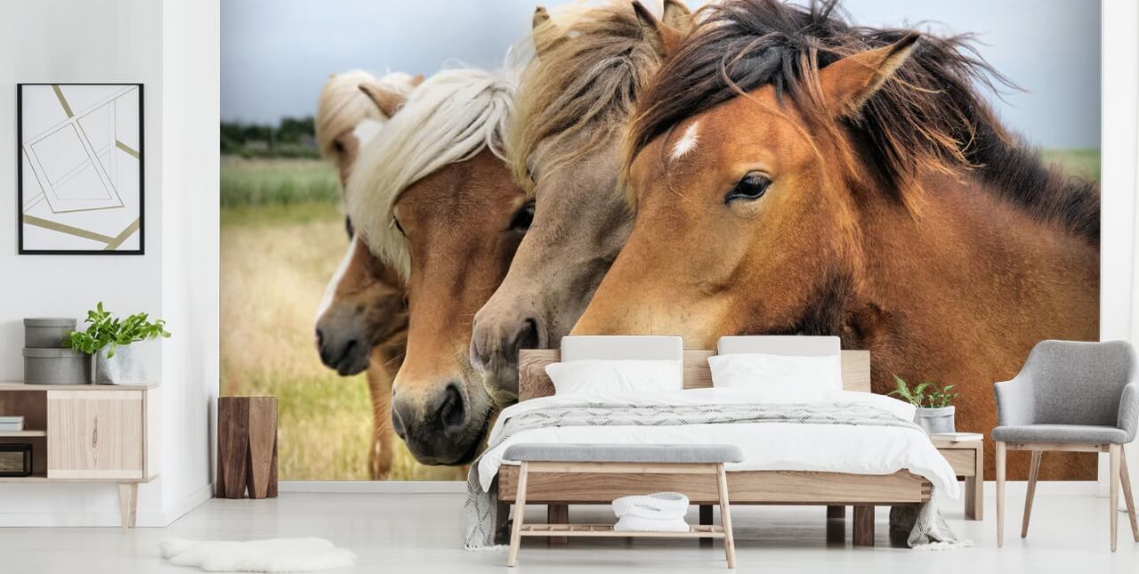 Horses Portraits Wall Mural Horses Portraits Wall Mural