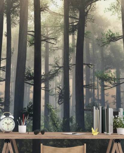 Misty Forest Wallpaper Misty Forest Wallpaper