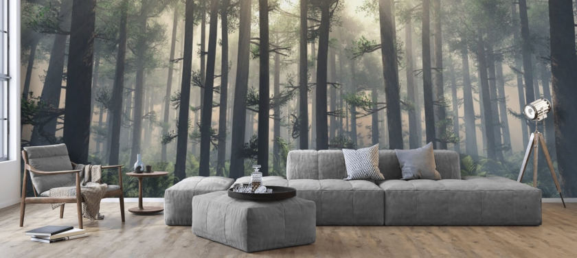 Forest Wallpaper & Tree Wall Murals | Wallsauce US