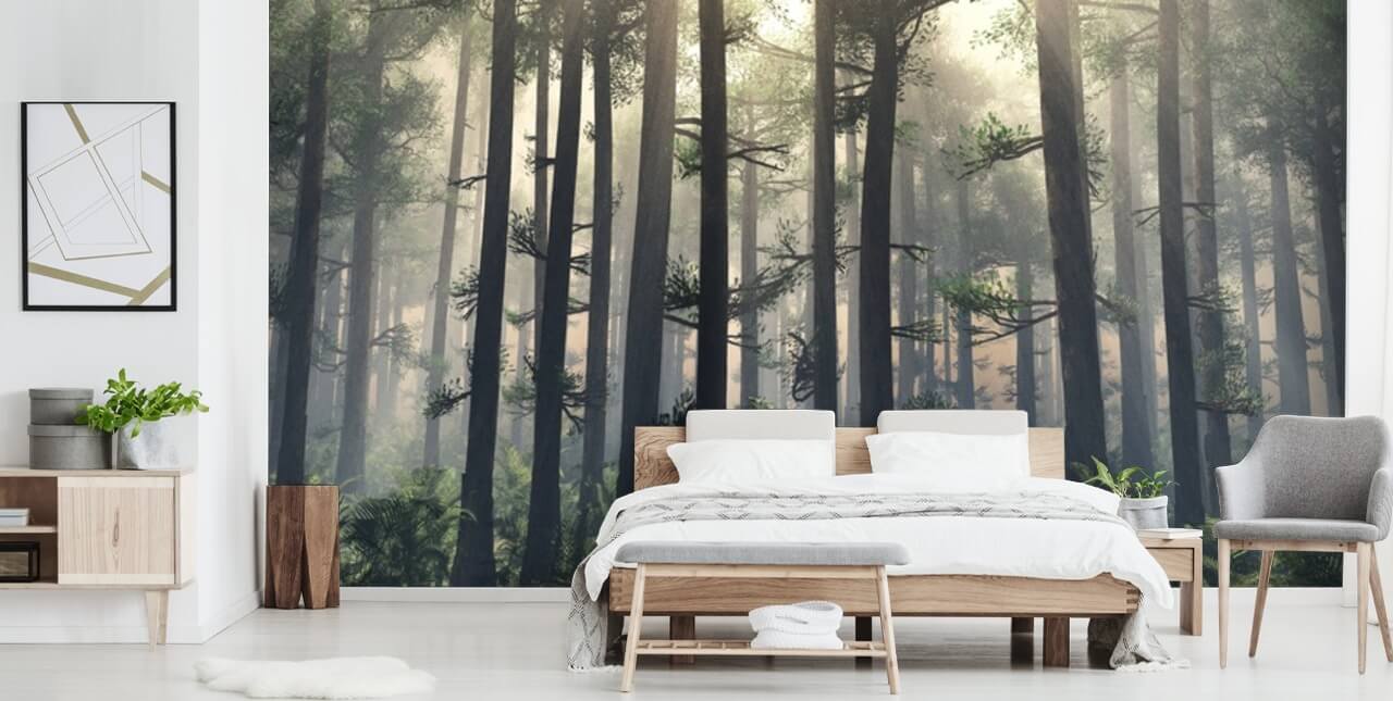 Fondo de pantalla Misty Forest