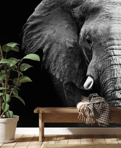 Black and White Half Elephant Portrait Wall Mural Black and White Half Elephant Portrait Wall Mural