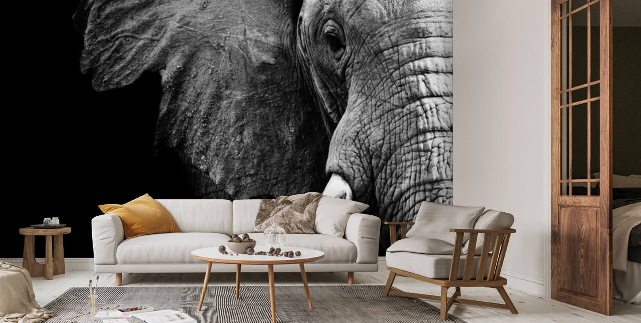 Elephant Close Up Wallpaper | Wallsauce UK