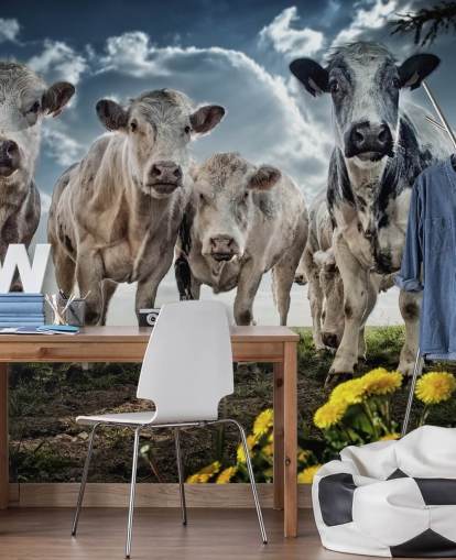 Papier Peint Cow Papier Peint Cow