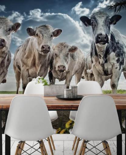 Cow Gang Bakgrunn Cow Gang Bakgrunn